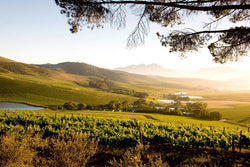 Jordan Wine Estate Stellenbosch