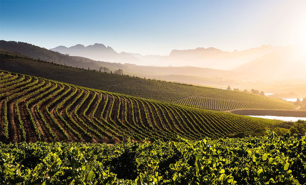 Jordan Wine Estate Stellenbosch