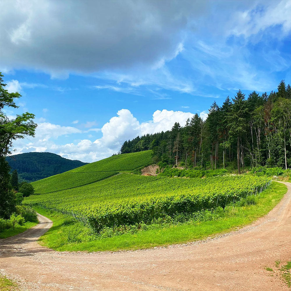 Karthauserhof