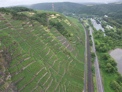 Knebel Weingut Reinhard & Beate Knebel