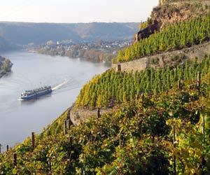 Knebel Weingut Reinhard & Beate Knebel