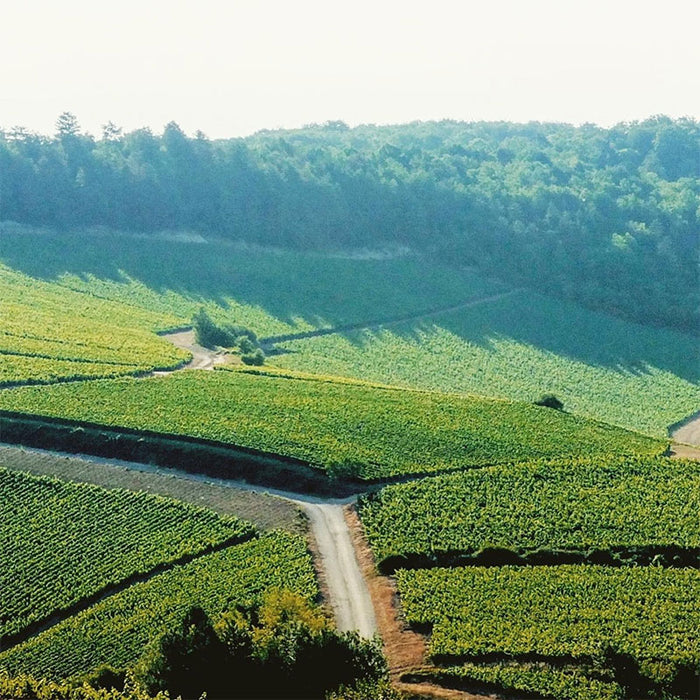 La Borderie Champagne