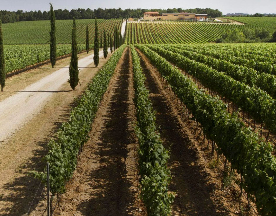 La Braccesca (Antinori)