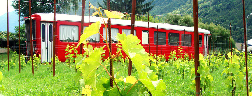 La Grazia Azienda Agricola