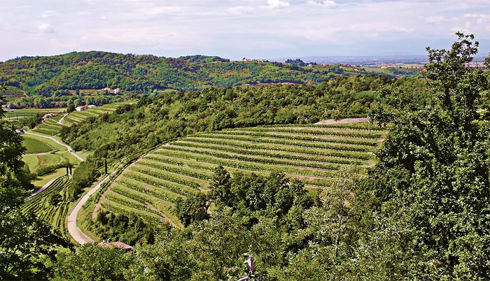 La Rajade