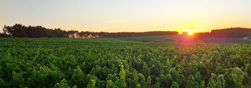 Lacroix Triaulaire