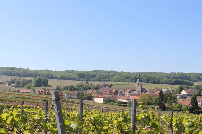 Lacuisse Freres