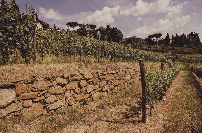 Lamole di Lamole: premium Chianti, timeless soul.