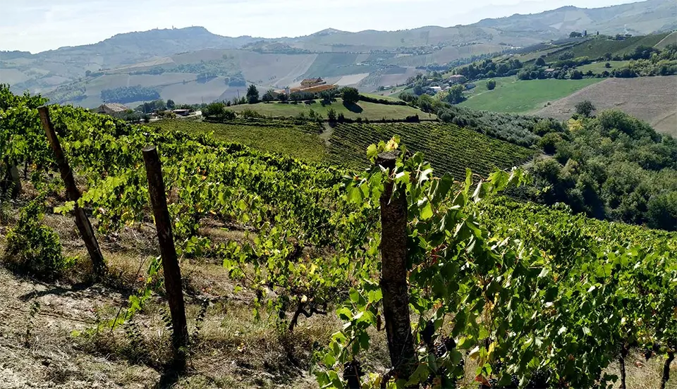 Lanciani