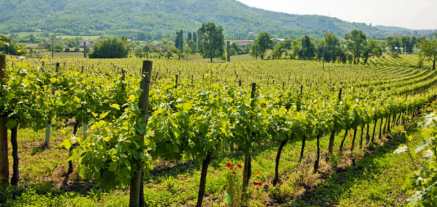 Lantieri de Paratico