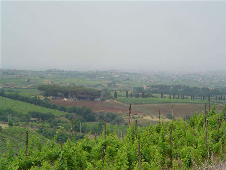 Lazio 1