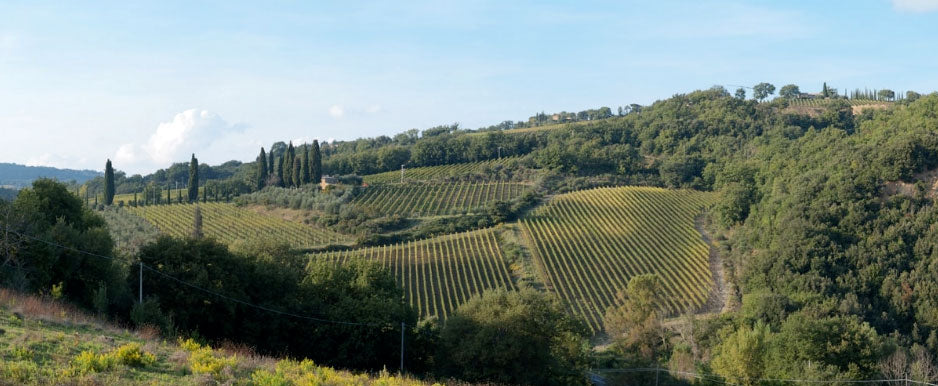 Le Macioche