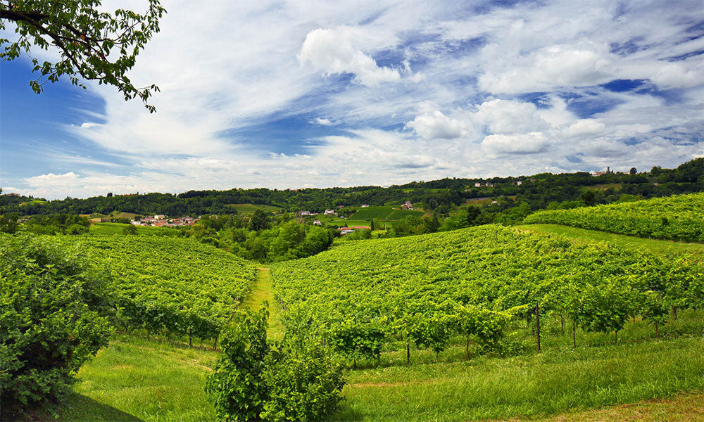 Le Manzane