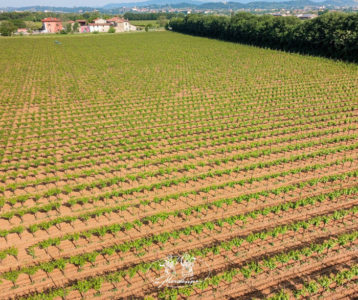 Le Marchesine