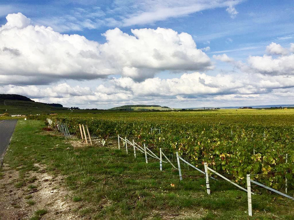Le Mesnil