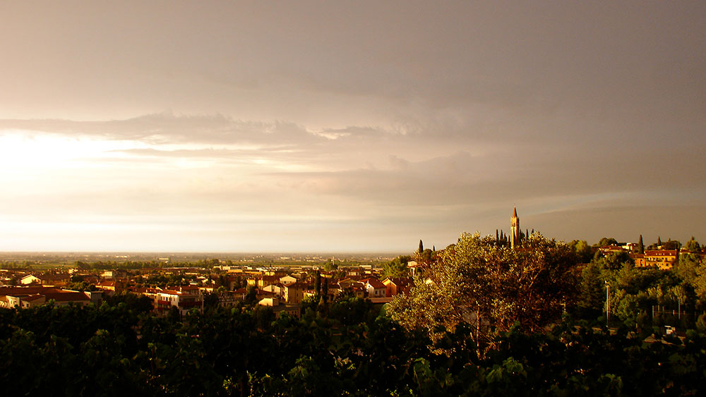 Le vigne di San Pietro