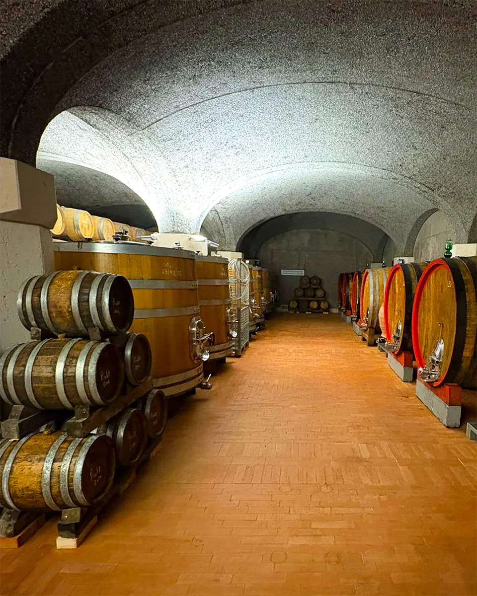 Le Vigne di Zamo