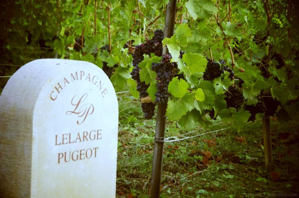 Lelarge Pugeot