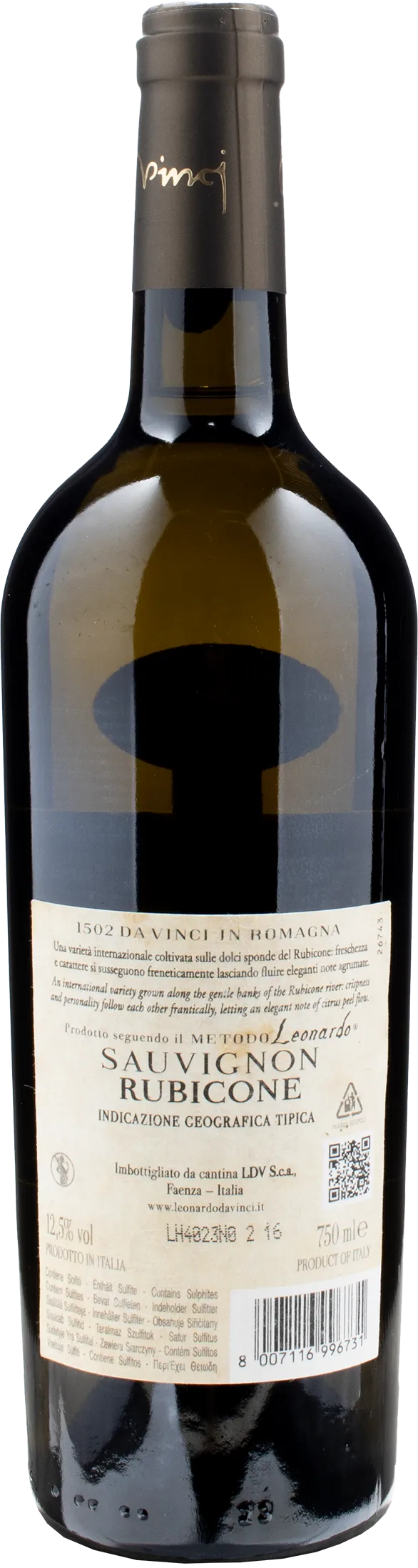 Leonardo da Vinci 1502 Sauvignon Rubicone Uve portate a Cesena 2023