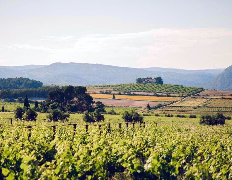 Celler del Roure