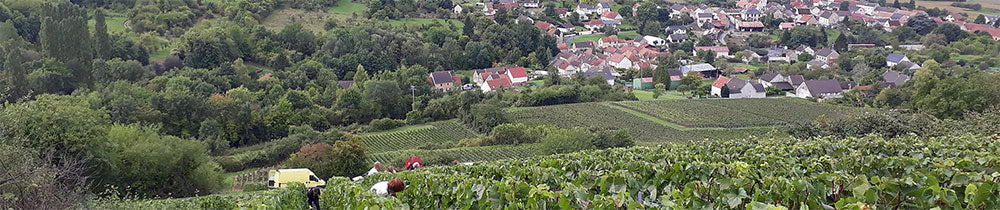 Leveque Dehan