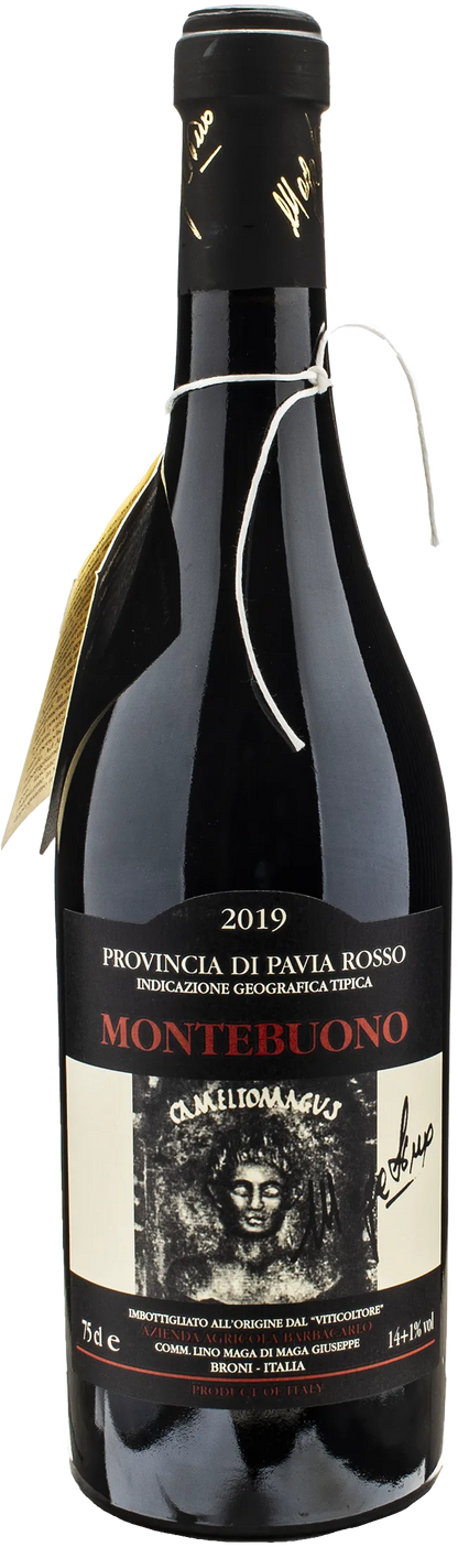 Lino Maga Montebuono 2019