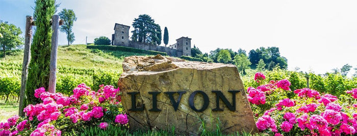 Livon