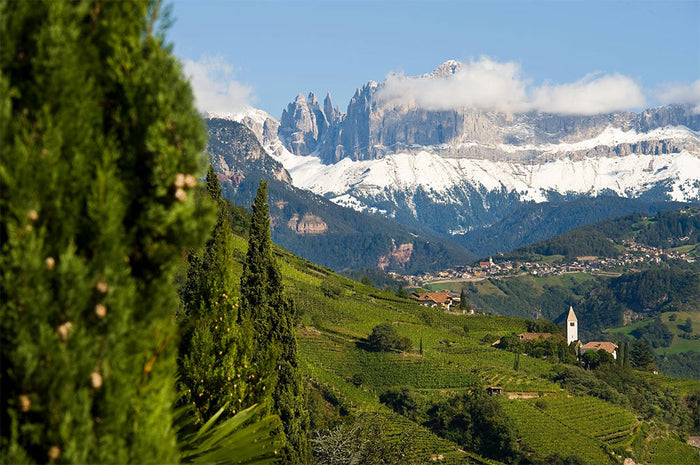Loacker Wine Estates