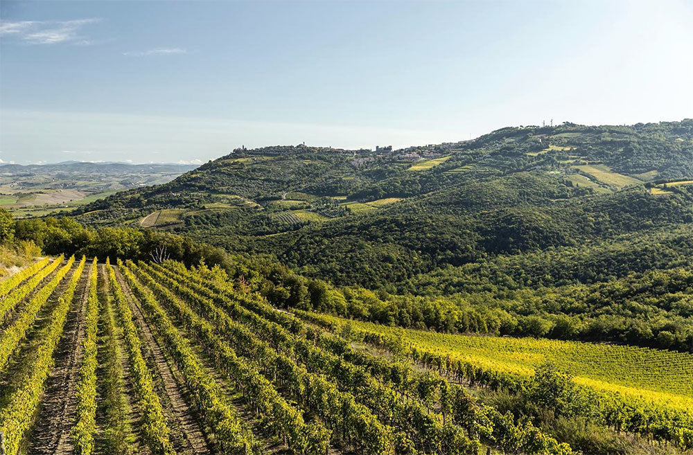 Loacker Wine Estates