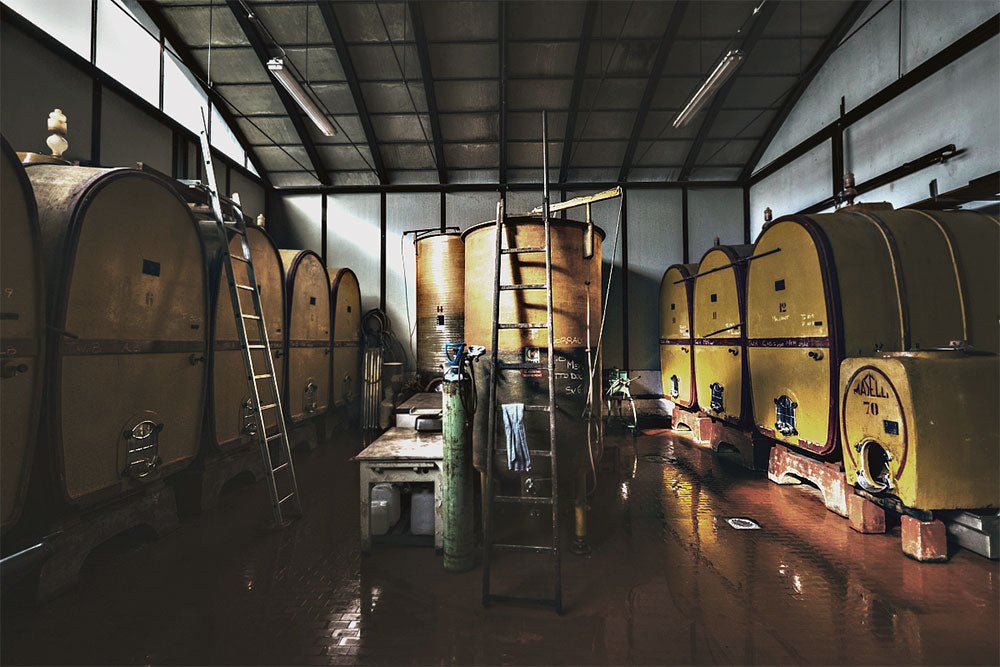 Lodi Corazza
