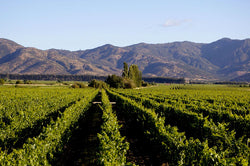 Los Vascos (Rothschild)