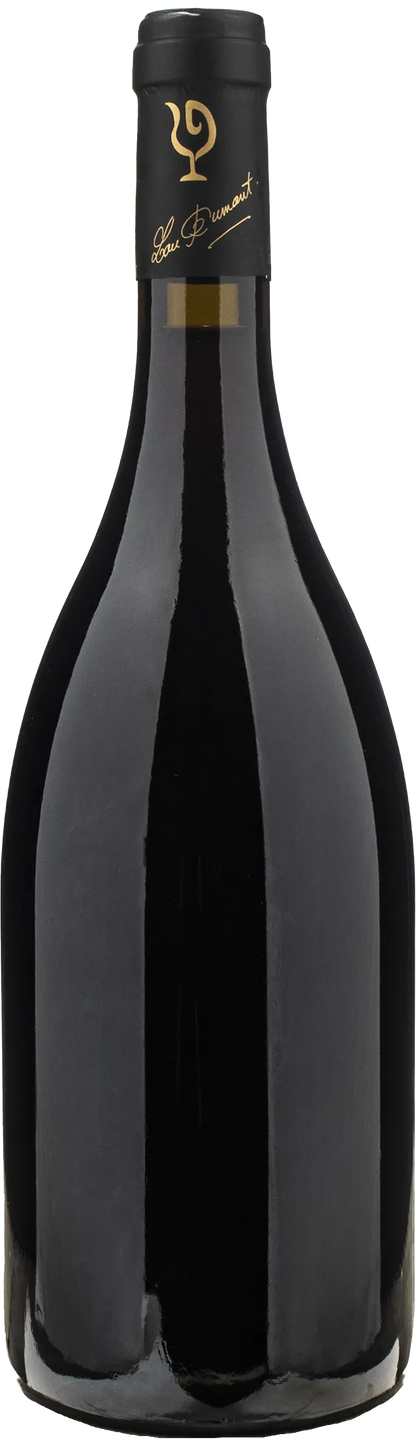 Lou Dumont Koji Nakada Ladoix Rouge 2022