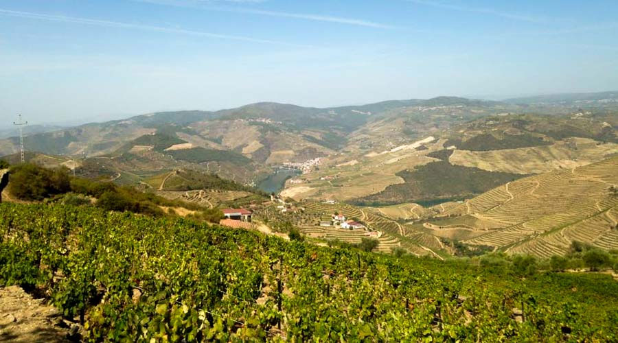 Luis Seabra