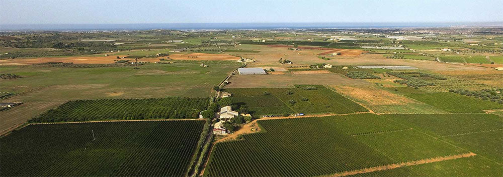 Maggio Vini