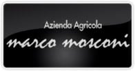 Marco Mosconi