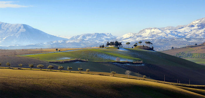 Marramiero