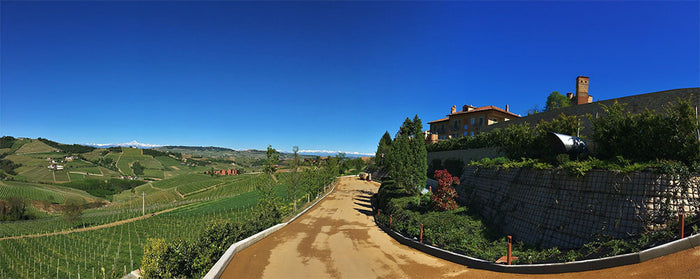 Massolino - Vigna Rionda