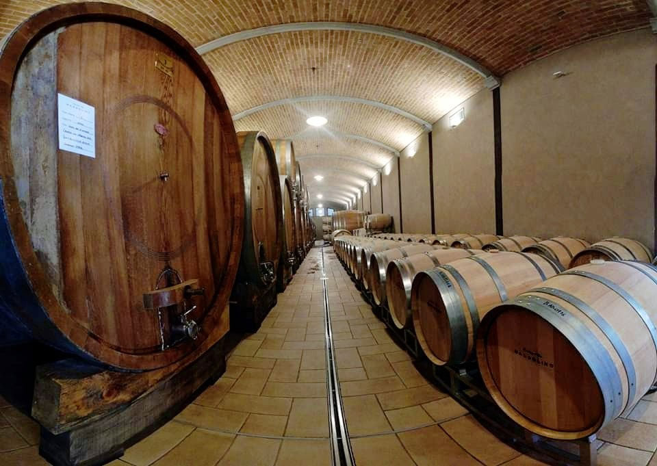 Massolino - Vigna Rionda