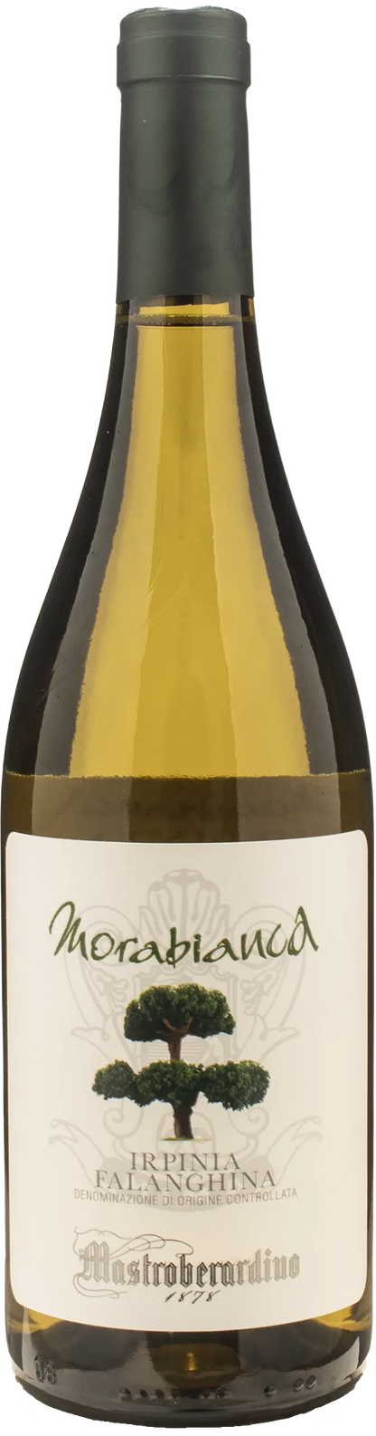 Mastroberardino Irpinia Falanghina Morabianca 2024