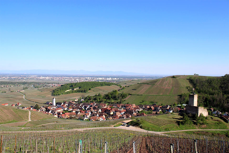 Meyer-Fonné