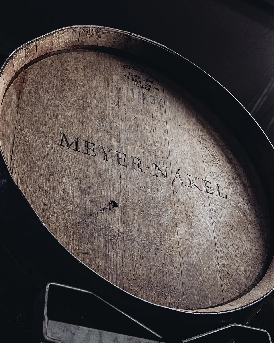 Meyer-Nakel