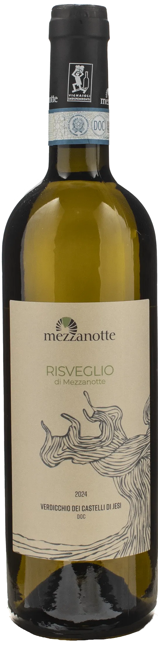 Mezzanotte Verdicchio dei Castelli di Jesi Risveglio 2024