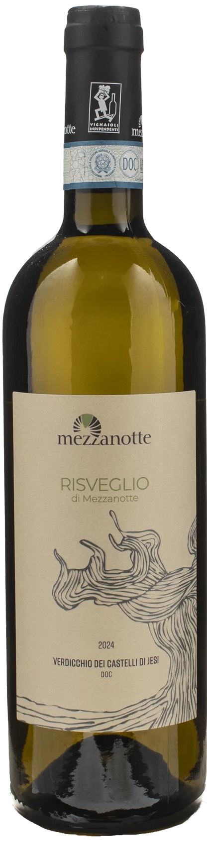 Mezzanotte Verdicchio dei Castelli di Jesi Risveglio 2024