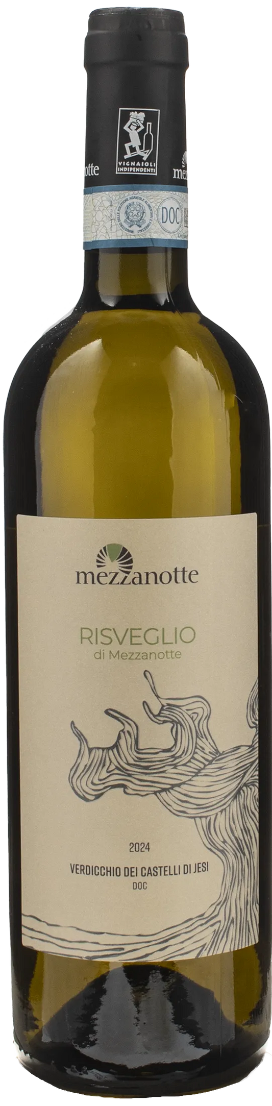 Mezzanotte Verdicchio dei Castelli di Jesi Risveglio 2024