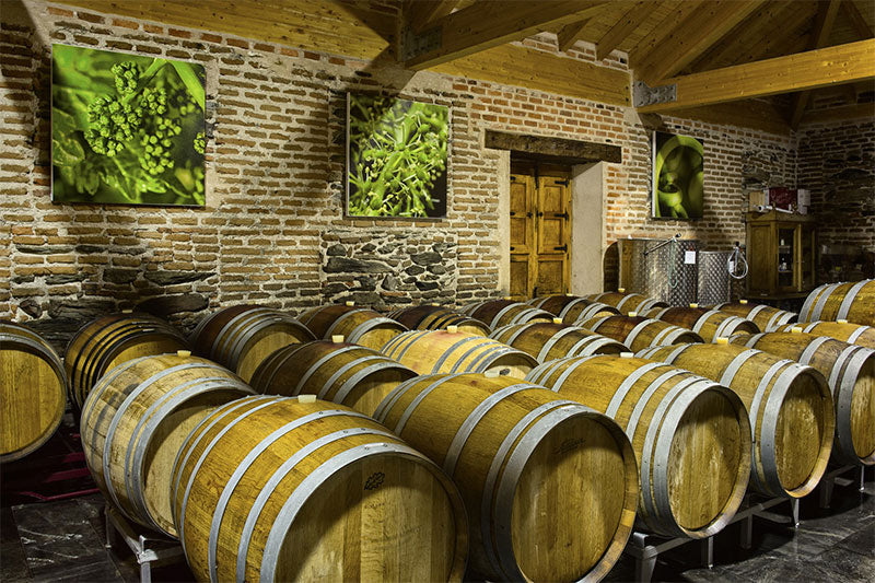 MicroBiowines