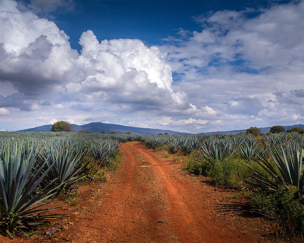 Milagro
