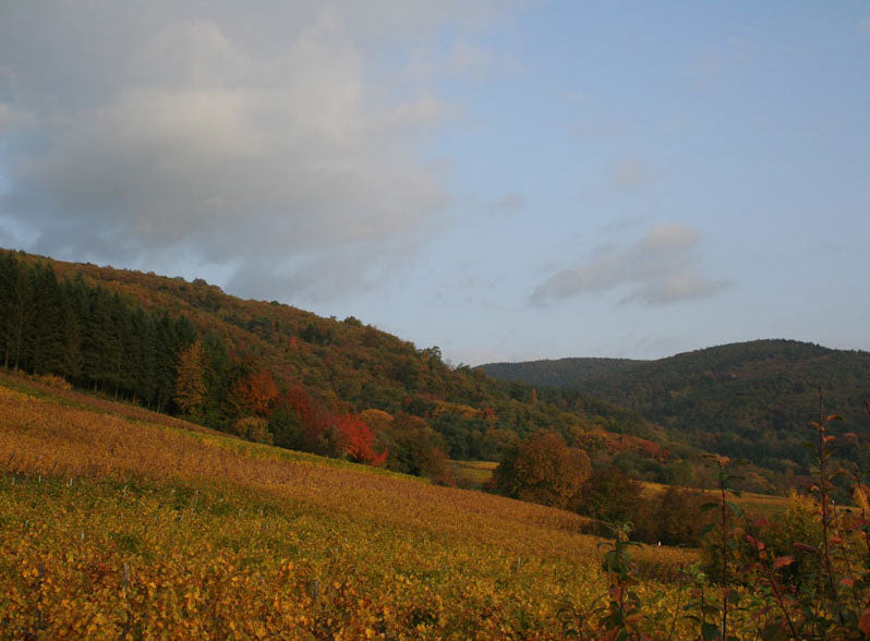 Mittnacht