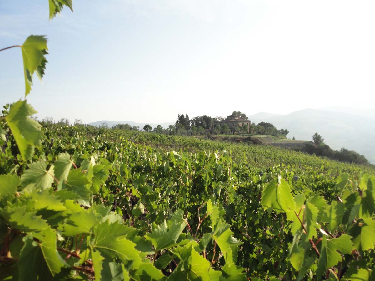 Molino di Sant'Antimo