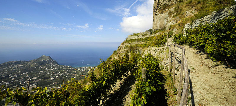 Molise 1
