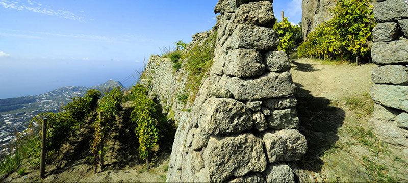 Molise 2